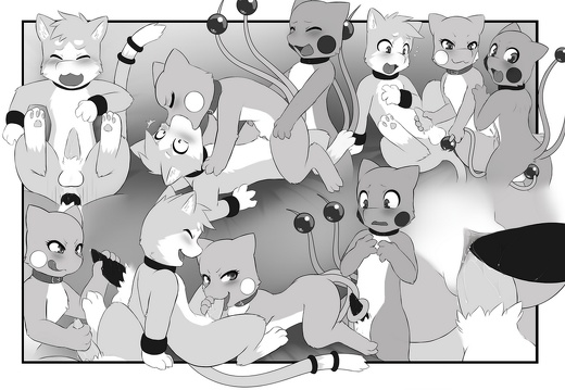 017