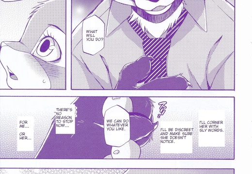 22 - NCrazxe