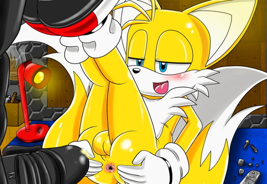 Tails Secret Hobby